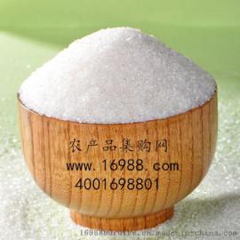 南京白糖批发价格是多少