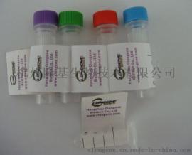 羊抗兔 IgG 多克隆抗体 广泛用于胶体金产品制作