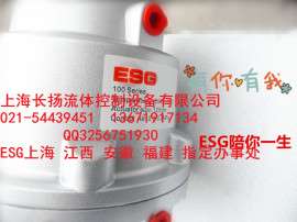 ESG法兰式角座阀DN100 执行器125AL气缸，角座阀