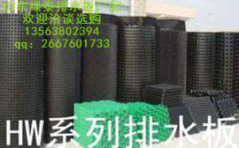 绿泰HDPE生产排水板/蓄排水板#长期供应